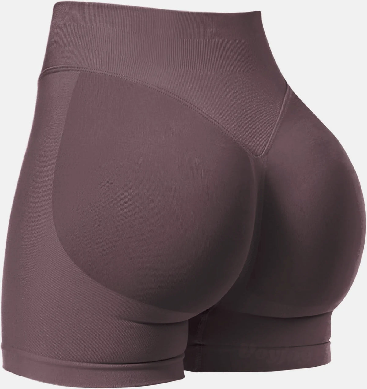 Sculpt High-Waisted Shorts